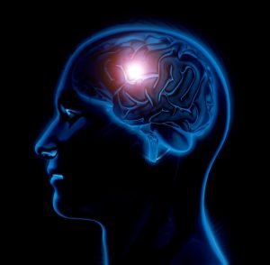 3D Medical figure with brain highlighted