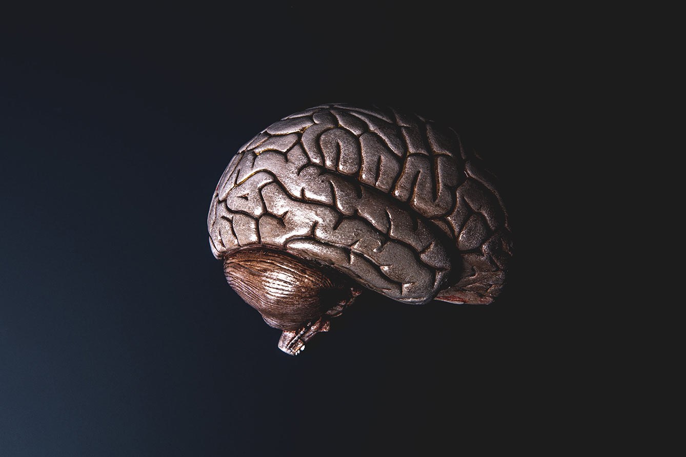 A bronze model of a brain on a black background